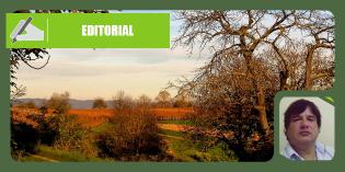 La agricultura familiar, el desarrollo territorial y las estrategias públicas para su abordaje en la Provincia de Santa Fe