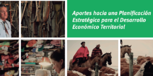 «Aportes hacia una Planificación Estratégica para el Desarrollo Económico Territorial»-Uruguay
