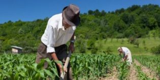 Consulta pública del contenido del Plan Nacional de Desarrollo Rural Territorial 2017-2022 en Costa Rica