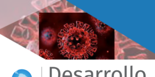 Revista Desarrollo y Territorio Nº7 – Edición especial ante la crisis